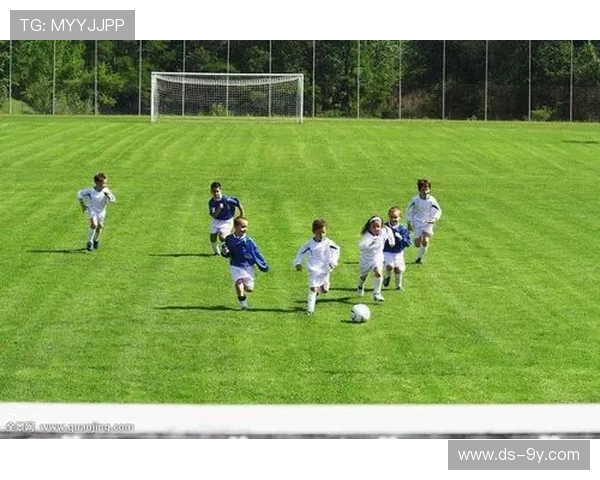 上个世纪足球文化与激情的演变：从街头巷尾到全球舞台的崛起